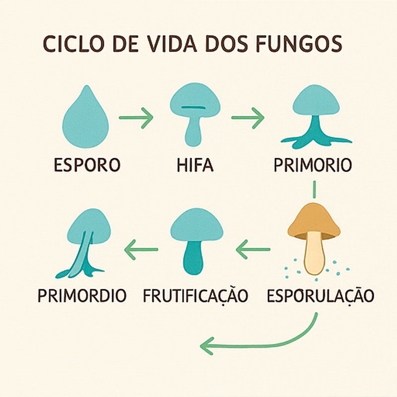 como cultivar psilocybe cubensis​