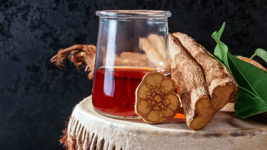 A Microdose de Ayahuasca é uma bebida tradicional amazônica